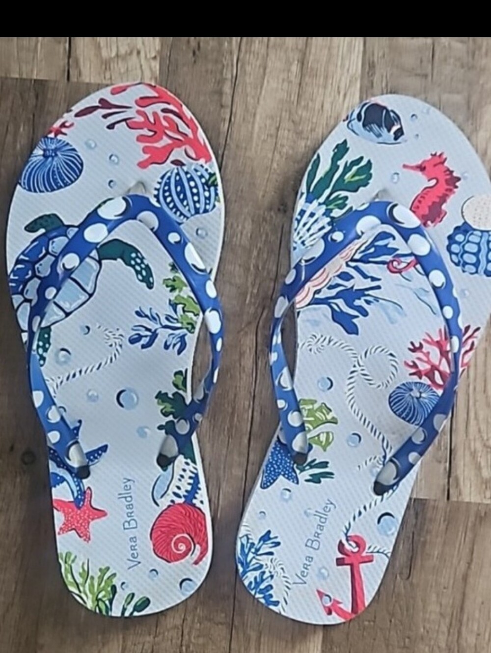 Vera Bradley Nautical Sea Life Flip Flops - Blue & Coral Print